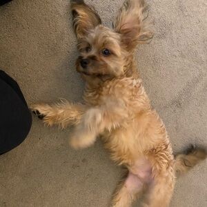 Meet your Posher, Elouise